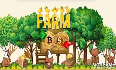 Chickens-Farm