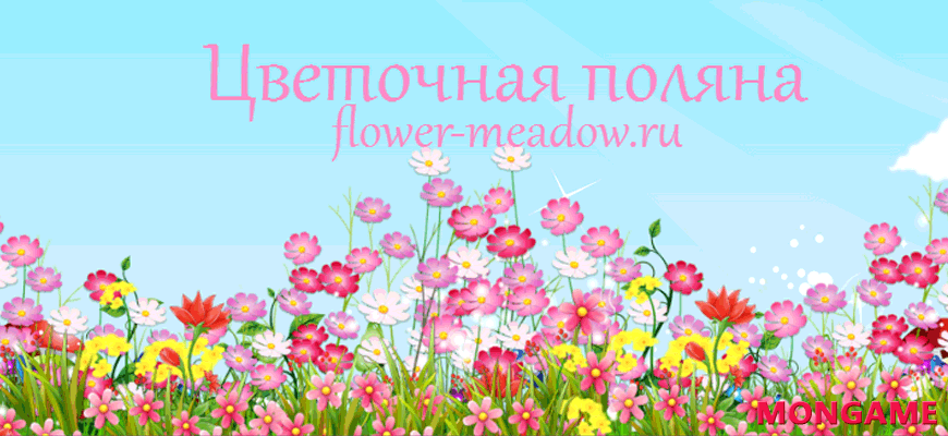 Flower Meadow - Цветочная поляна